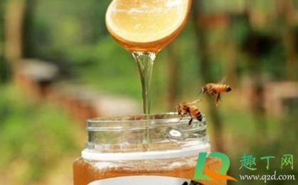 怎么判断是不是野生蜂蜜(野生的蜂蜜如何判断)