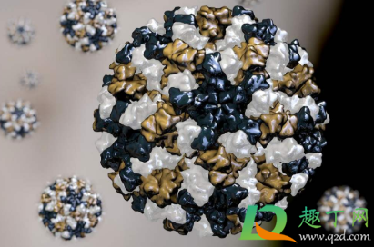 诺如病毒症状是吃什么引发的(诺如病毒吃啥)