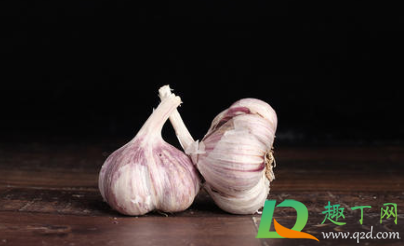 紫皮蒜和白皮蒜哪个好(紫皮蒜好还是白皮蒜好)