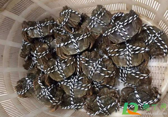 螃蟹是选大个买吗(螃蟹买大的还是小的划算) 螃蟹是选大个买吗(螃蟹买大的还是小的划算)