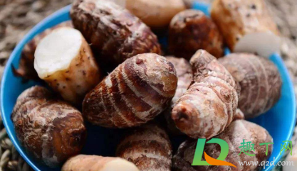 芋头发芽了还能不能吃(芋头发芽了还能不能吃芋头大概多少克) 芋头发芽了还能不能吃(芋头发芽了还能不能吃芋头大概多少克)