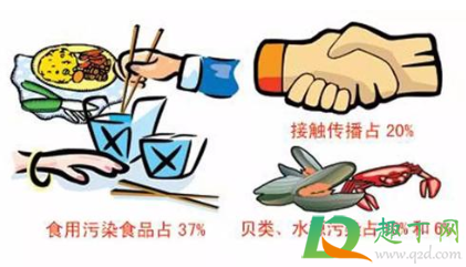 诺如病毒症状是吃什么引发的(诺如病毒吃啥) 诺如病毒症状是吃什么引发的(诺如病毒吃啥)