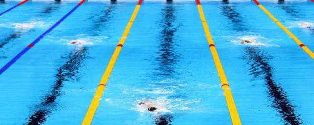 1000米蛙泳完成时间(1000米蛙泳游多久)