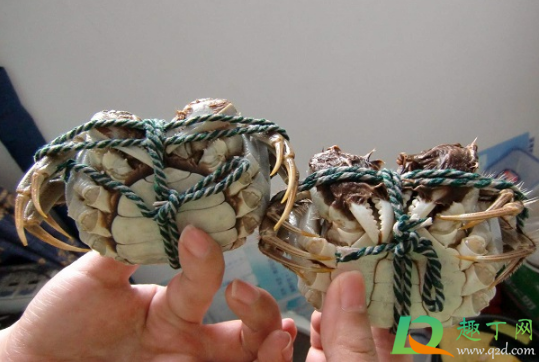 大闸蟹吐沙用清水还是用盐水(大闸蟹吐沙子用放盐吗)