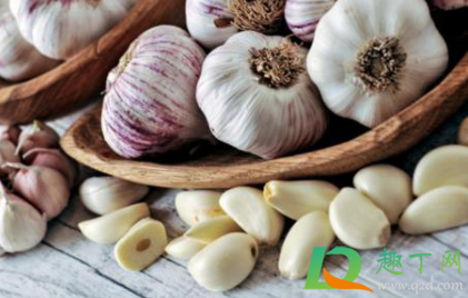 糖醋蒜为什么是绿色的呢(糖醋蒜为什么会变绿色可以吃么)