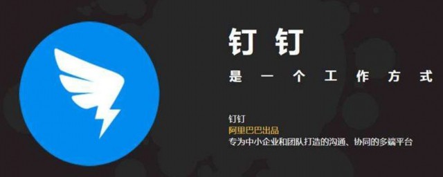 钉钉简介(钉钉简介故事)