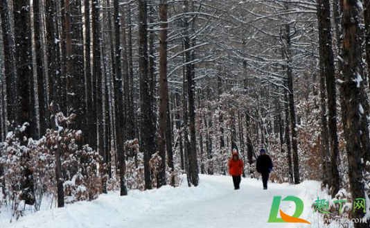 2020年冬天冷到什么时候(2020年冬天最冷是哪几天) 2020年冬天冷到什么时候(2020年冬天最冷是哪几天)