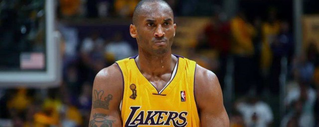 看完这些或许您就清楚了(手机新浪网)