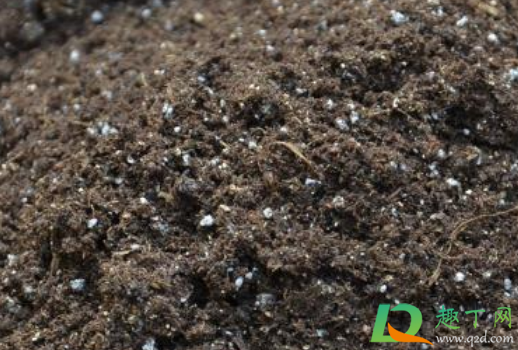 花土碱性大怎么处理(如何改善花土的碱性)