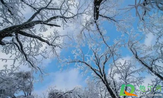 今年冬天降雪量大吗2020(预计2020年冬天雪多吗)