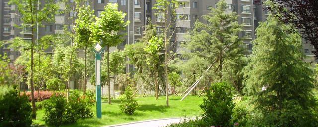 园林绿化公司经营范围(园林绿化公司经营范围建设工程施工)