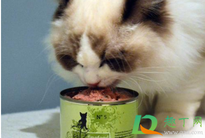 猫除了猫罐头什么都不吃怎么办(猫不吃东西罐头也不吃)