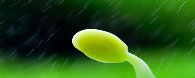 你喜欢这几首吗(你最喜欢哪首歌呢)