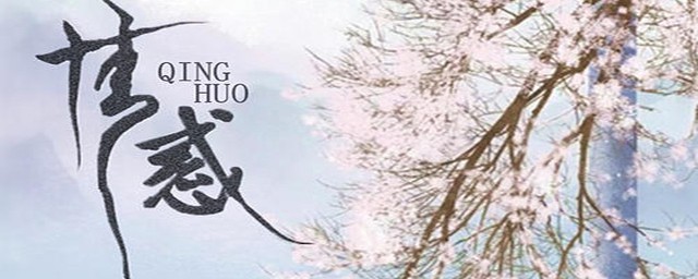 情惑电视剧结局大放送(电视剧情惑主要内容)