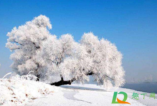 今年的冬天会冷到什么程度2020(2020为什么冬天今年特别冷) 今年的冬天会冷到什么程度2020(2020为什么冬天今年特别冷)
