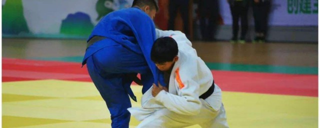 柔道和跆拳道的简介(柔拳道和跆拳道)