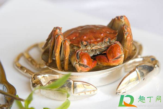 大闸蟹蒸的时候是背放后面还是底下放后面(大闸蟹要背部向上蒸吗) 大闸蟹蒸的时候是背放后面还是底下放后面(大闸蟹要背部向上蒸吗)