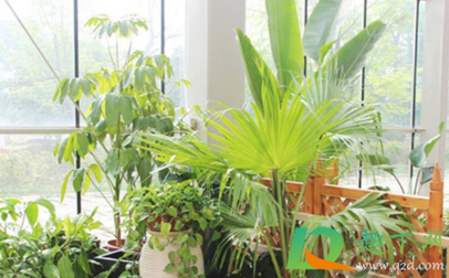 室内睡觉干燥怎么回事(房间睡觉很干燥) 室内睡觉干燥怎么回事(房间睡觉很干燥)