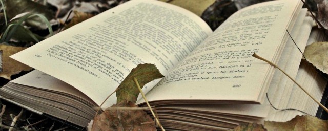 需要满足什么条件呢(需要的条件)