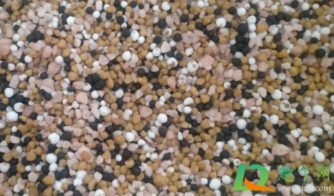 复合肥浇菜几天浇一次(复合肥兑水浇菜间隔几天) 复合肥浇菜几天浇一次(复合肥兑水浇菜间隔几天)