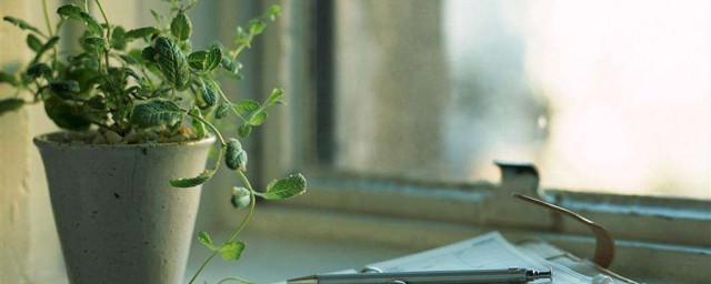 简短精湛句句入骨(句句入心精辟的句子)