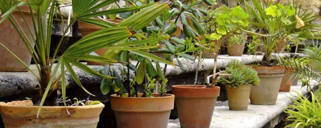 教你个实用办法(用一些小办法)