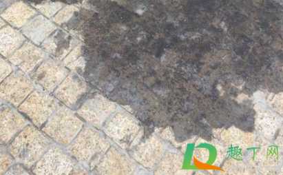 柴油洒在地上怎么处理(柴油洒了一地怎么处理) 柴油洒在地上怎么处理(柴油洒了一地怎么处理)