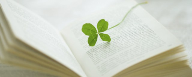 这句话的出处是哪儿(哪句话出自哪里)