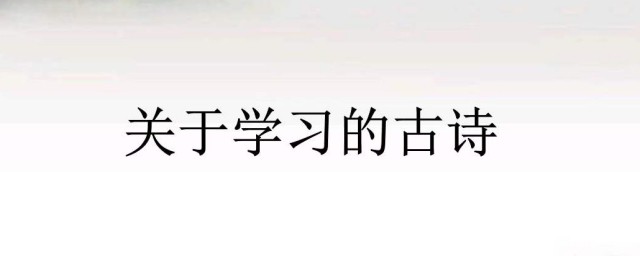 20句经典诗句送给你(写一首诗送给你)