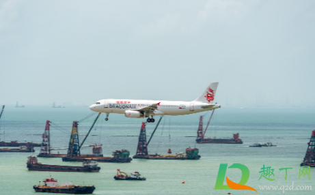 青岛流亭机场近半航班取消是真的吗(青岛流亭机场明天停飞吗?)