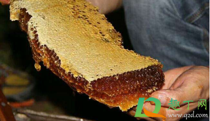 怎么判断是不是野生蜂蜜(野生的蜂蜜如何判断)