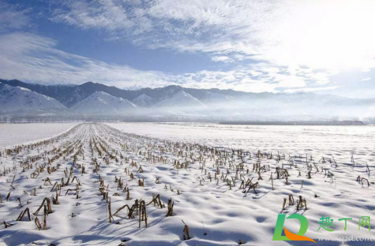 2020冬天的第一天是几月几日星期几(2020年冬天的第一天是什么时候) 2020冬天的第一天是几月几日星期几(2020年冬天的第一天是什么时候)