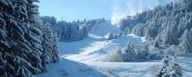 赶紧收藏吧(你赶紧收藏)