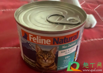 猫除了猫罐头什么都不吃怎么办(猫不吃东西罐头也不吃)