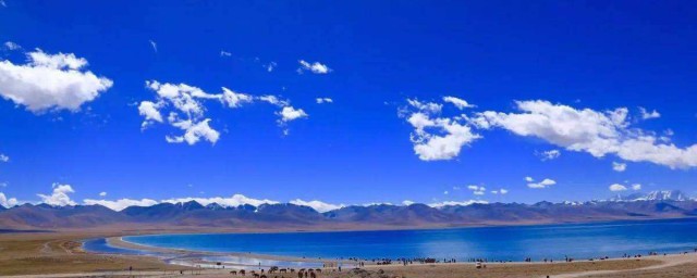 有哪些词语呢(些组词语有哪些)