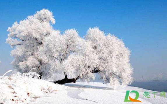 2020冬天一九从哪一天开始(2020冬天九九从哪天开始)