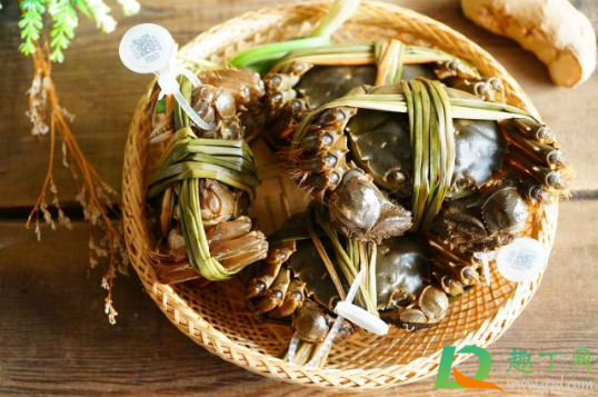 大闸蟹吐沙用清水还是用盐水(大闸蟹吐沙子用放盐吗)