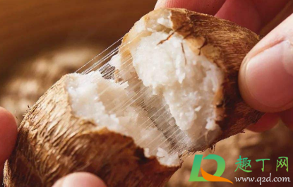 芋头发芽了还能不能吃(芋头发芽了还能不能吃芋头大概多少克) 芋头发芽了还能不能吃(芋头发芽了还能不能吃芋头大概多少克)