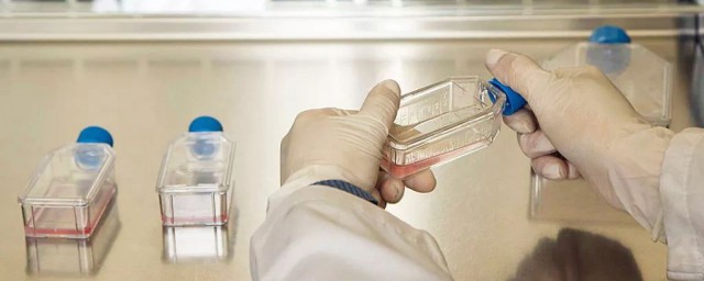 新型冠状病毒的相关知识(新型冠状病毒的相关知识点说明文)