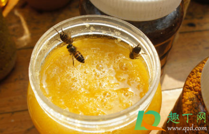 蜂蜜里面有渣渣好不好(有渣的蜂蜜好还是没有好) 蜂蜜里面有渣渣好不好(有渣的蜂蜜好还是没有好)