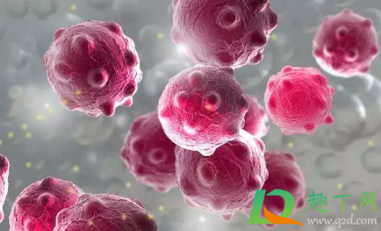 诺如病毒是怎样感染的(诺如病毒是怎么传染的)