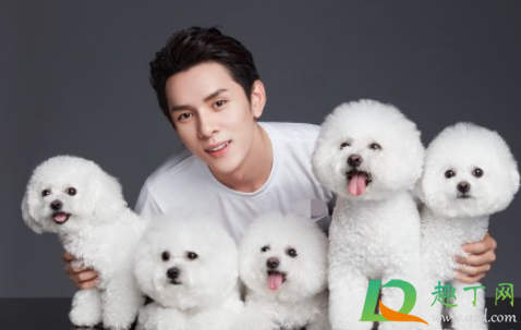 李佳琦10月21日直播清单2020(李佳琦1月20号直播清单)