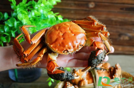 螃蟹是整个蒸还是对半砍开(螃蟹什么样算是蒸熟了)
