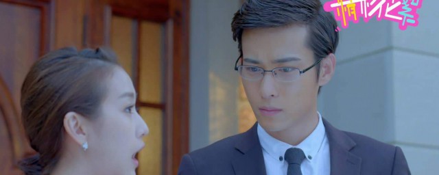 有该剧的介绍吗(这部剧有哪些)