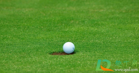 草坪的杂草用什么药水好(绿化草坪用什么除杂草药) 草坪的杂草用什么药水好(绿化草坪用什么除杂草药)