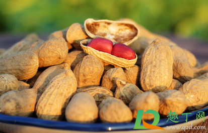 花生油怎么看有没有掺别的油(花生油里有水) 花生油怎么看有没有掺别的油(花生油里有水)