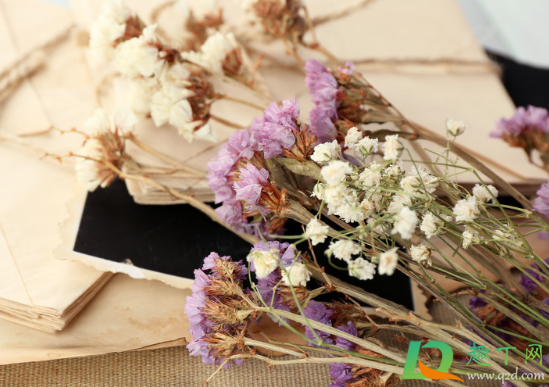 放干花的瓶子要加水不(干花瓶里要放水吗)