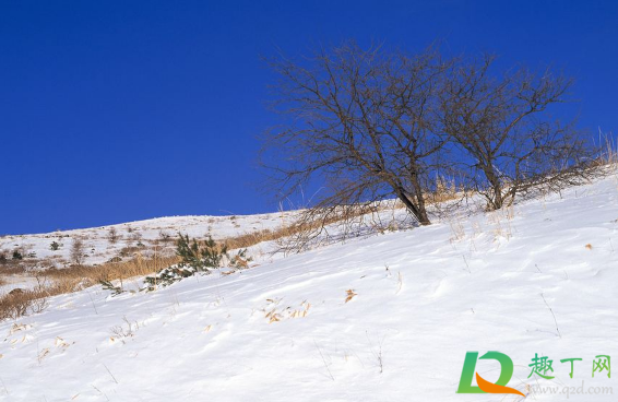 2020年冬天为什么特别冷(2020年冬天为什么会非常冷)