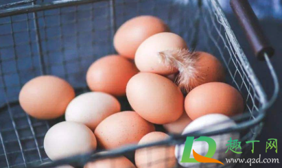 生鸡蛋泡狗粮可以给幼犬吃吗(狗粮可以加生鸡蛋吗) 生鸡蛋泡狗粮可以给幼犬吃吗(狗粮可以加生鸡蛋吗)