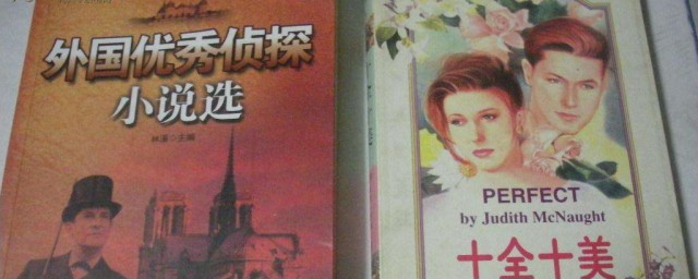 怎样写好侦探小说(写侦探的小说)